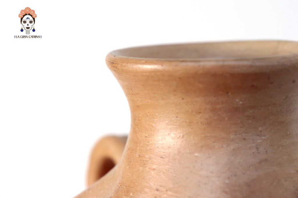 Vessel Ancestral Mixe rounded - 9.8 in. Silvia Mixe