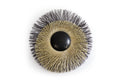 Wheat Circle Wall Art - Black Eclipse