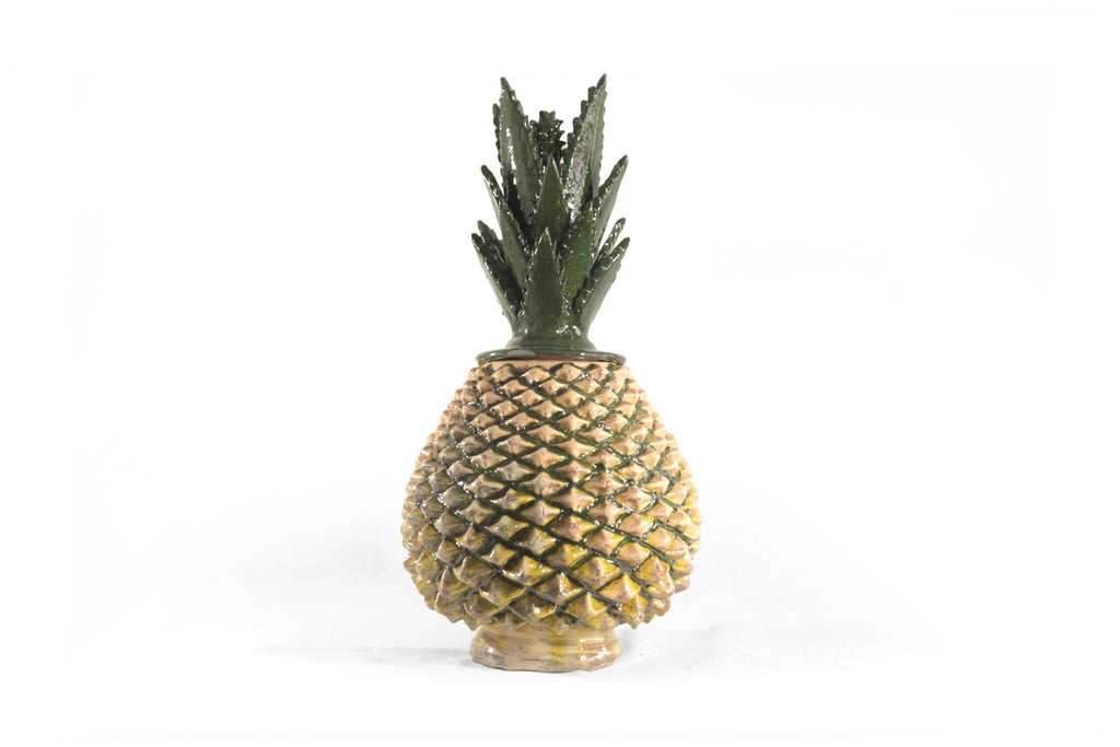 Pineapple of Agave Jimado - 20 in. Juan Gtz
