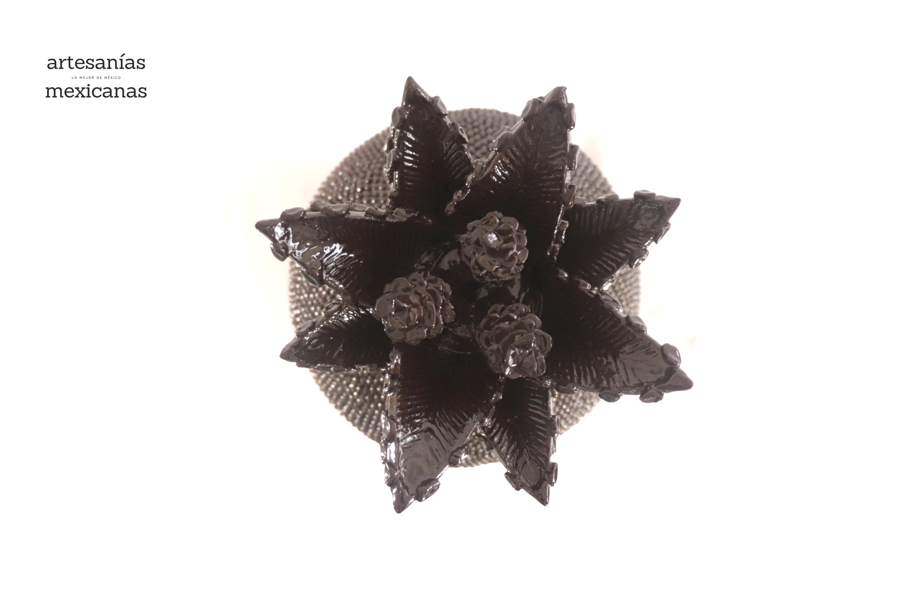 Pineapple with Spikes Brown - 26 in. Juan Gtz