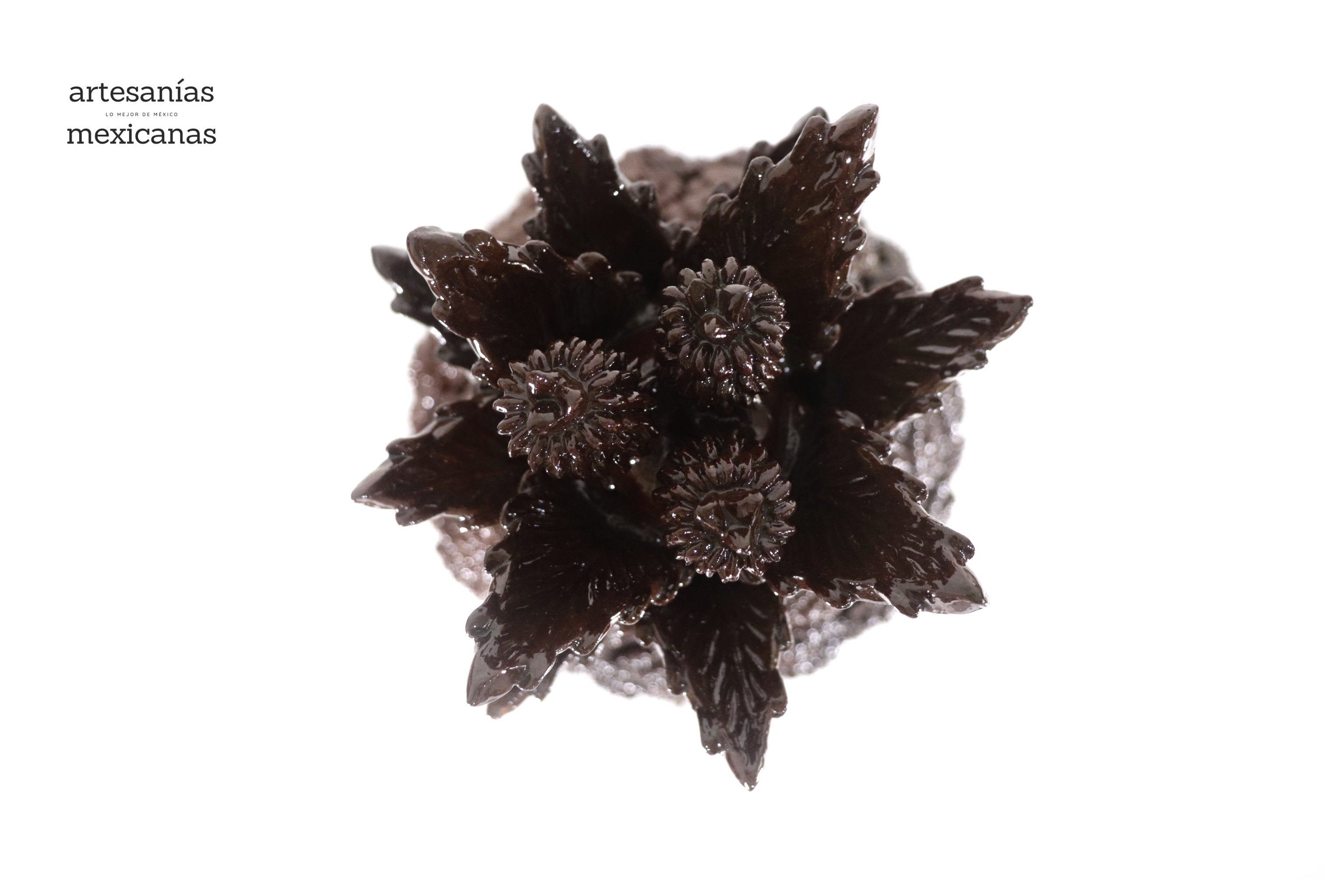 Michoacán Pineapple of Contest brown - 20 in. - Made to Order Juan Gtz