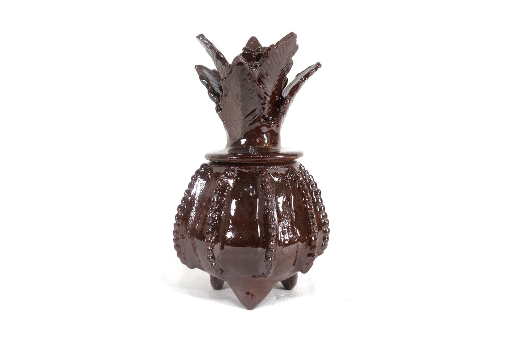 Michoacán Clay Pineapple - Small Brown barrel cactus - 7.7 in. Juan Gtz
