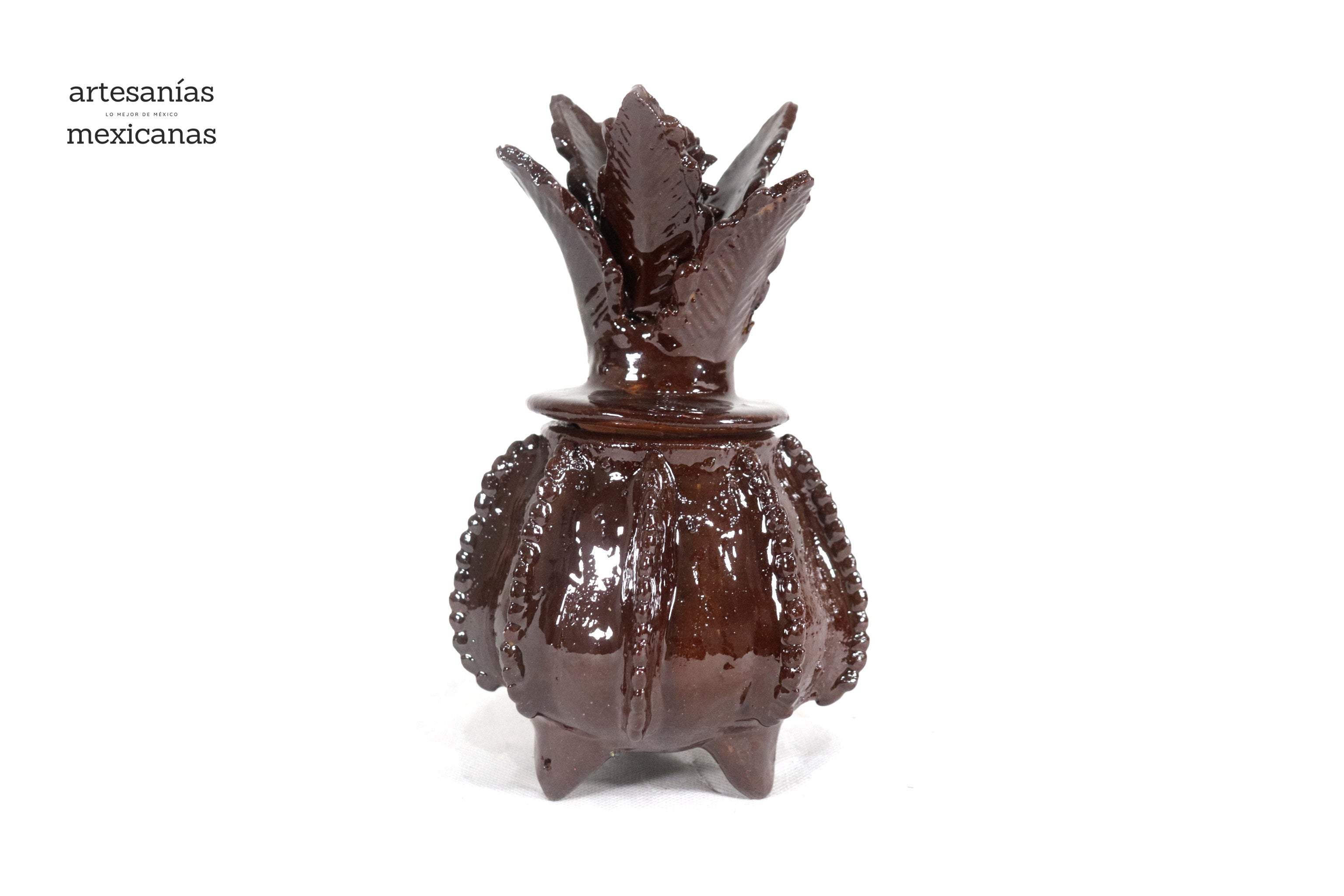Michoacán Clay Pineapple - Small Brown barrel cactus - 7.7 in. Juan Gtz