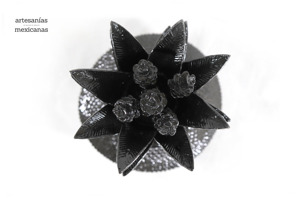 Pineapple black with Spikes - 36 in. Juan Gtz