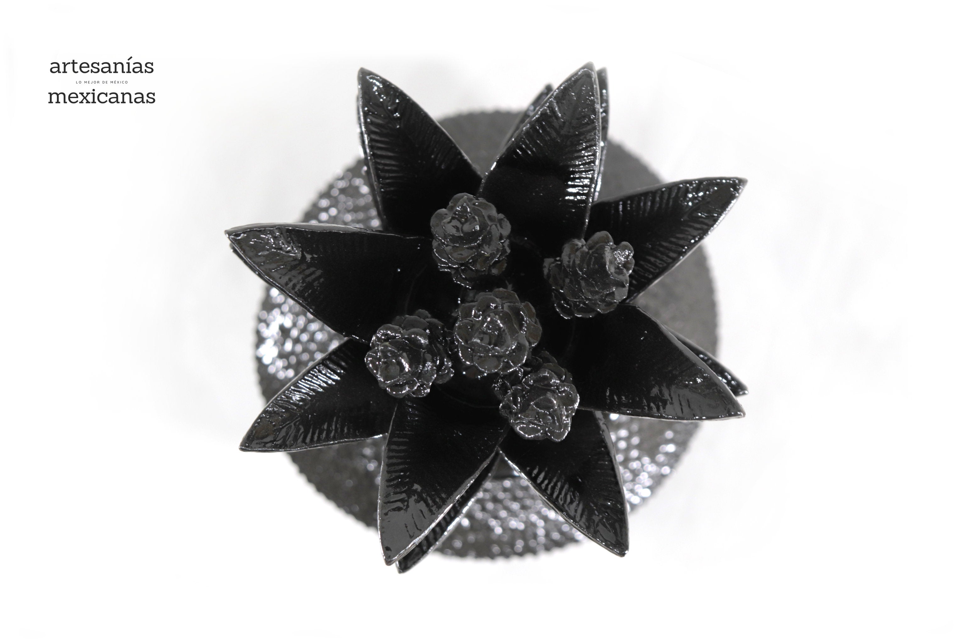 Pineapple black with Spikes - 36 in. Juan Gtz
