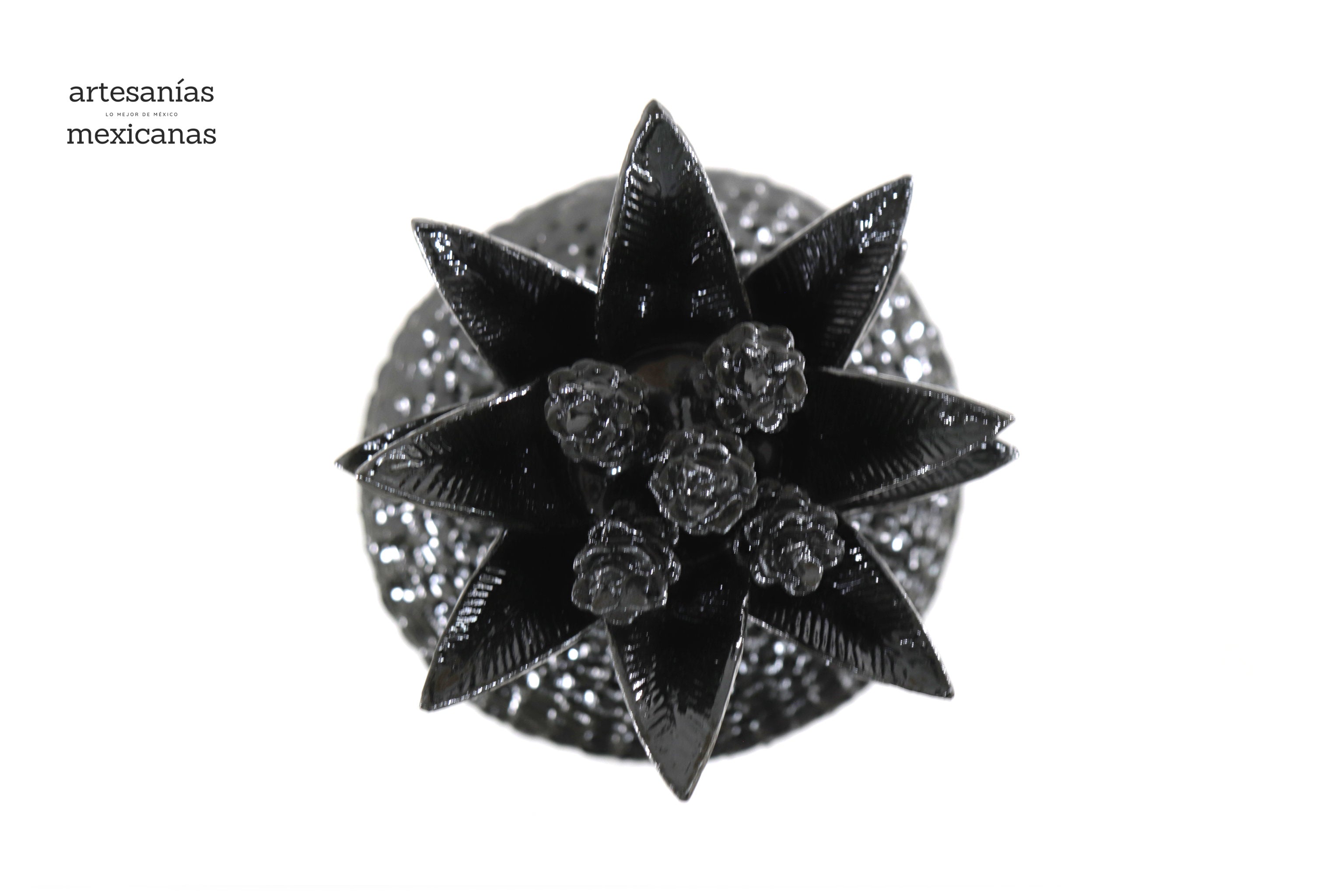 Pineapple black with Petals - 36 in. Juan Gtz