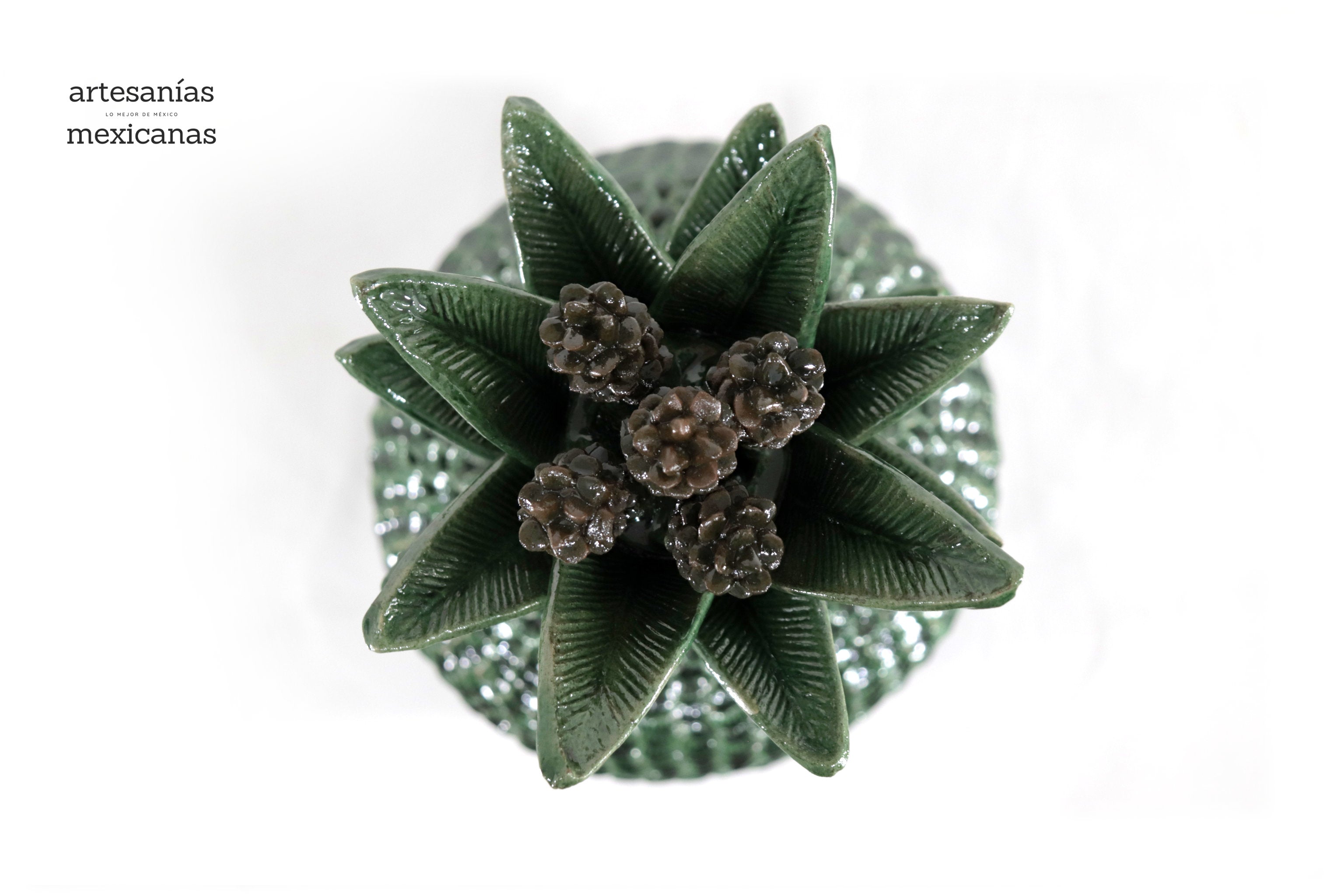 Green Pineapple with Petals - 36 in. Juan Gtz