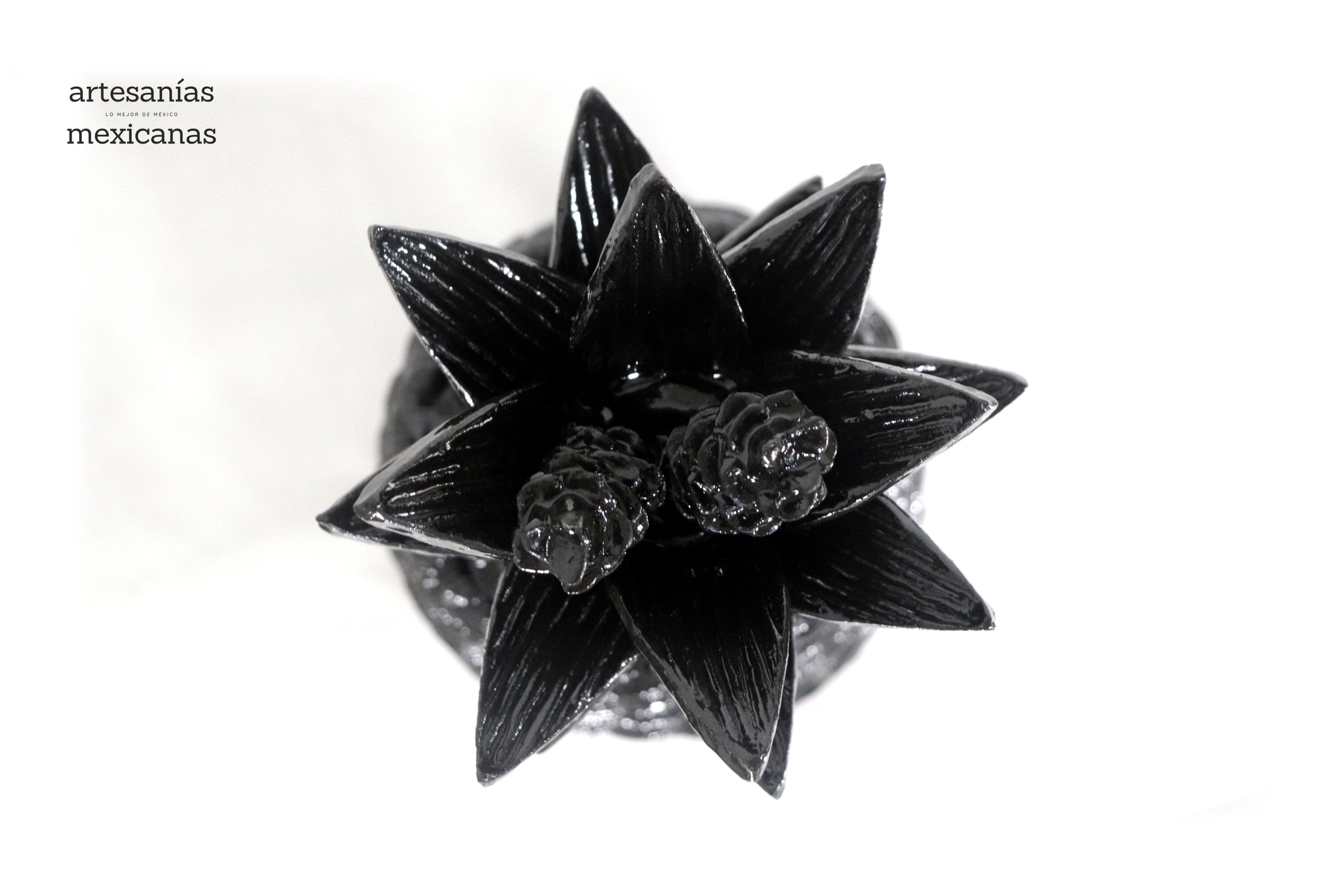 Michoacán Clay Pineapple - Papaya Black - 22 in. Juan Gtz