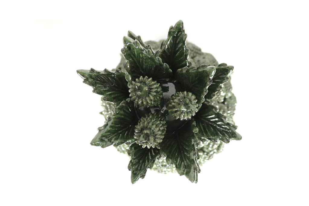 Michoacán Pineapple of Contest green - 20 in. Juan Gtz