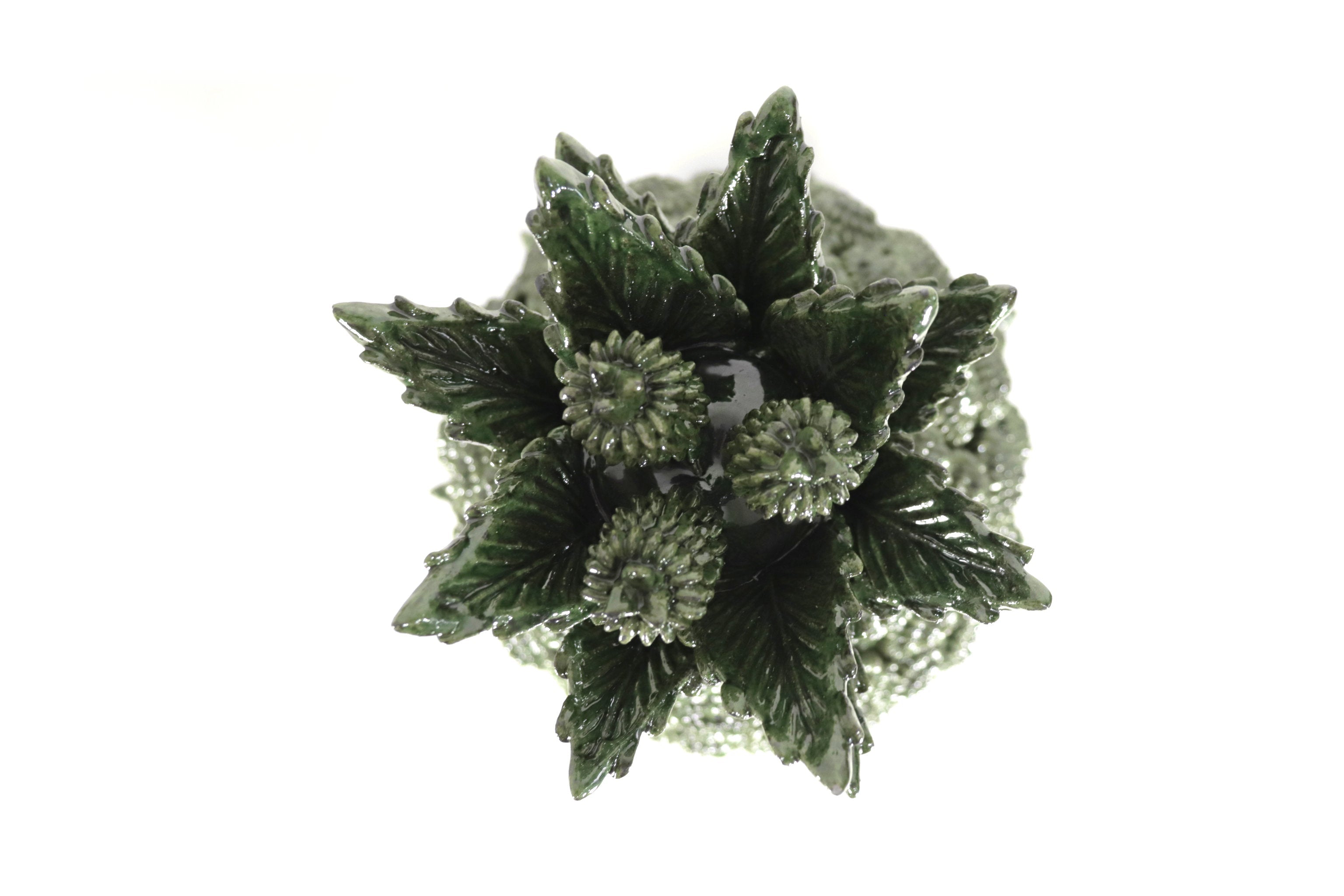 Michoacán Pineapple of Contest green - 20 in. Juan Gtz