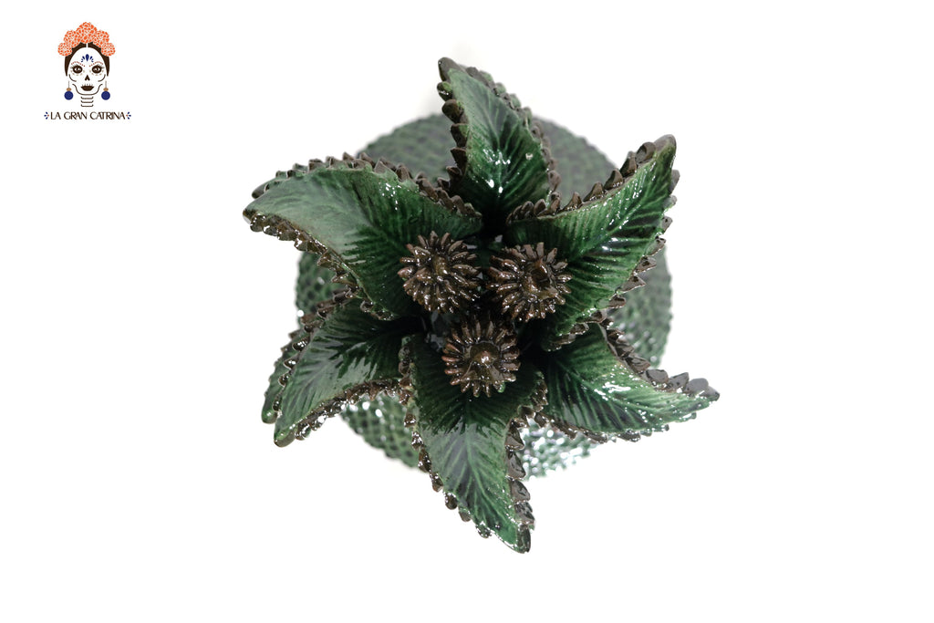 Green Pineapple with Spikes with Leaves Curved - 15 in. - Made to Order Juan Gtz