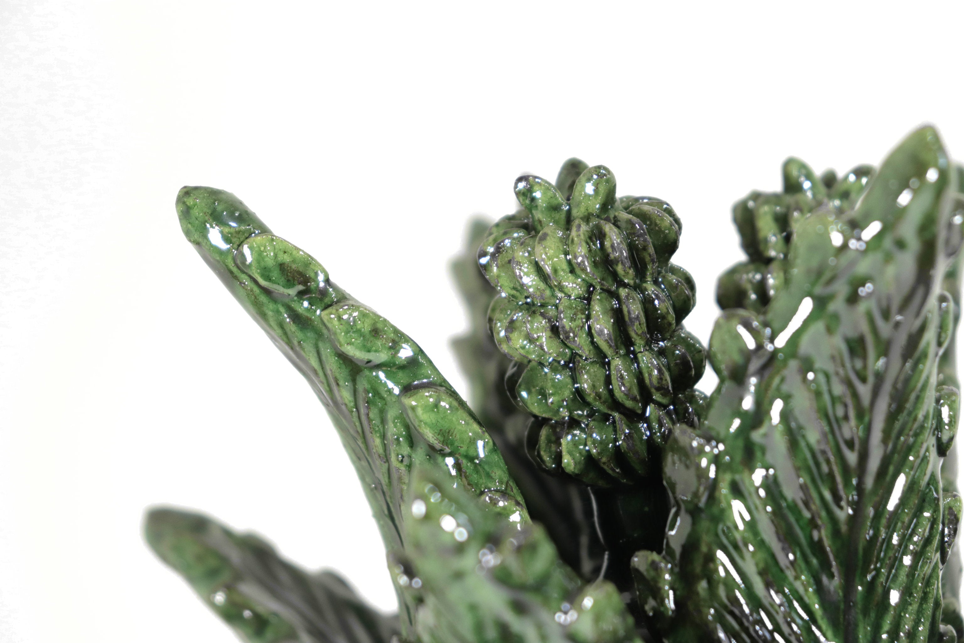 Michoacán Pineapple of Contest green - 20 in. Juan Gtz