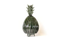 Michoacán Clay Pineapple - 26 in. - Green Barrel Cactus Juan Gtz