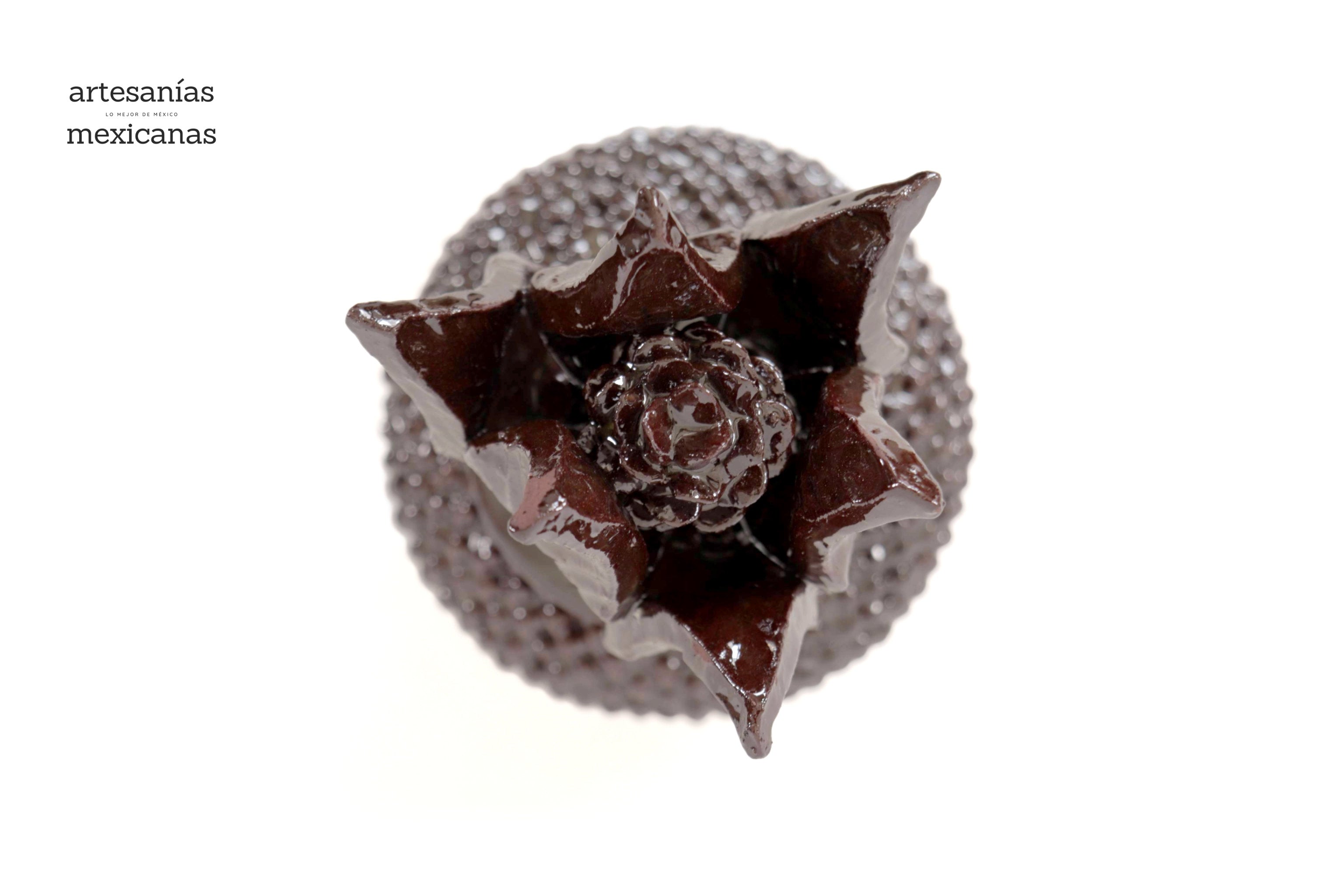 Brown Pineapple Glazed Clay - 8.6 in. Juan Gtz