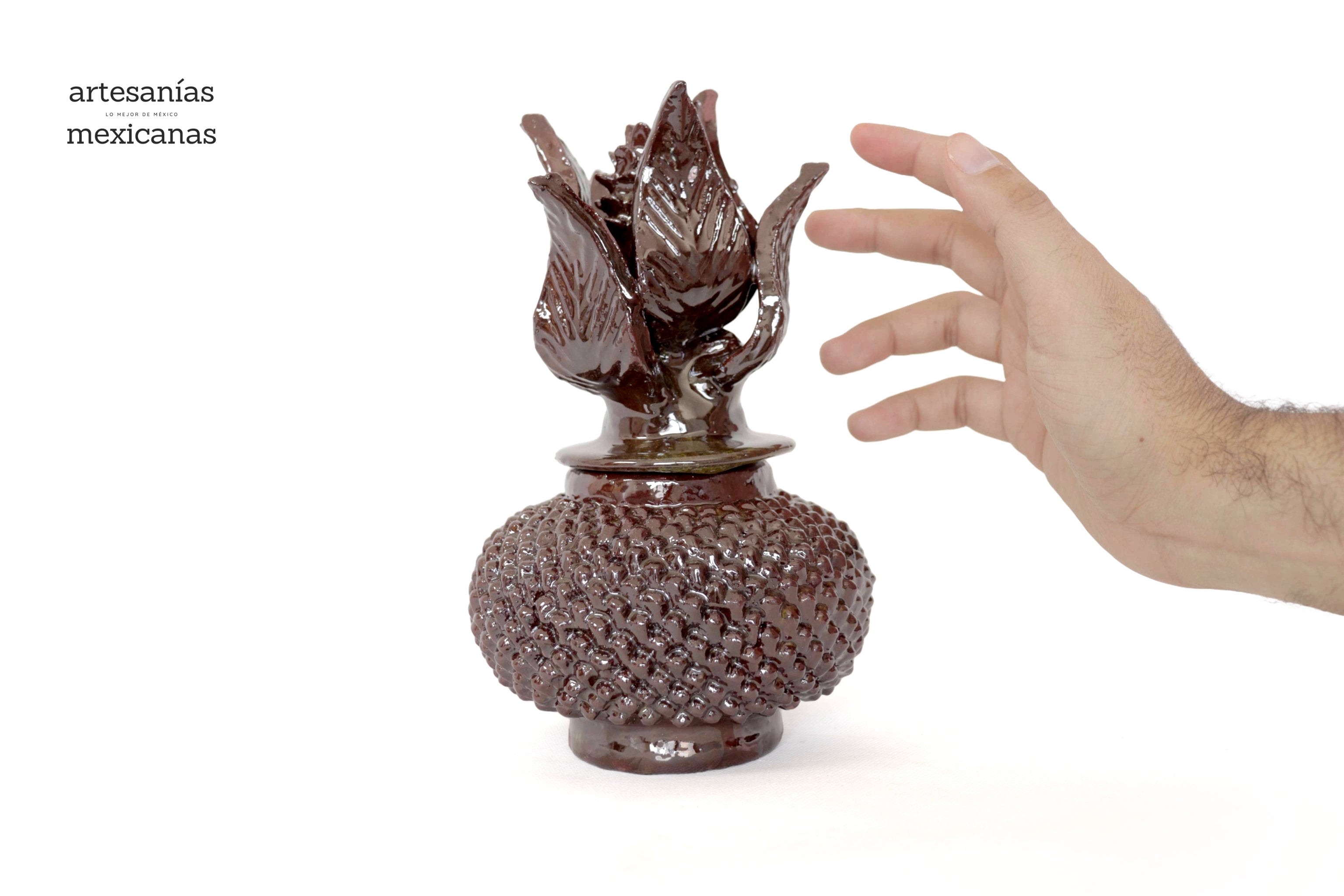 Brown Pineapple Glazed Clay - 8.6 in. Juan Gtz