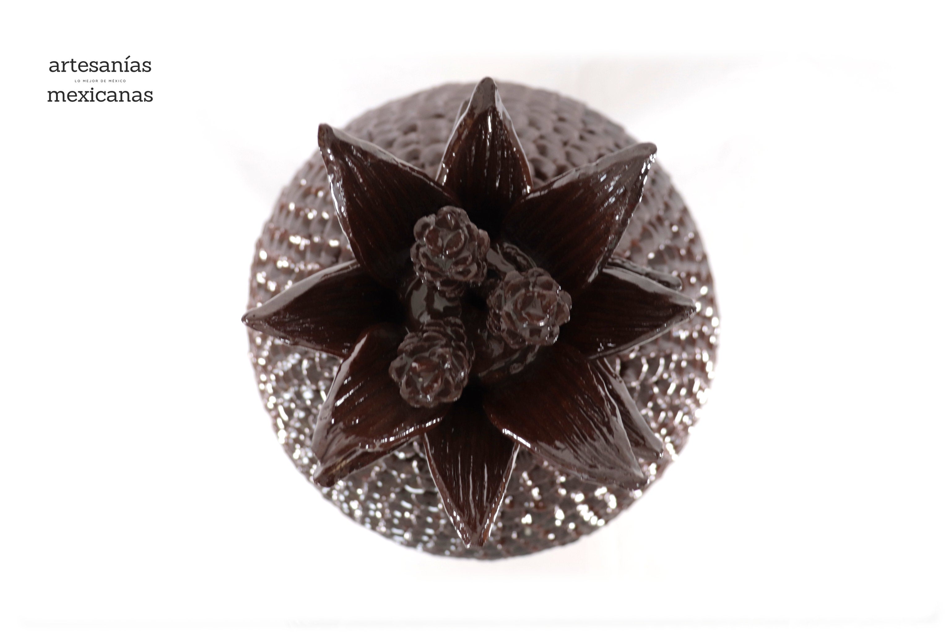 Pineapple with Petals brown - 26 in. Juan Gtz
