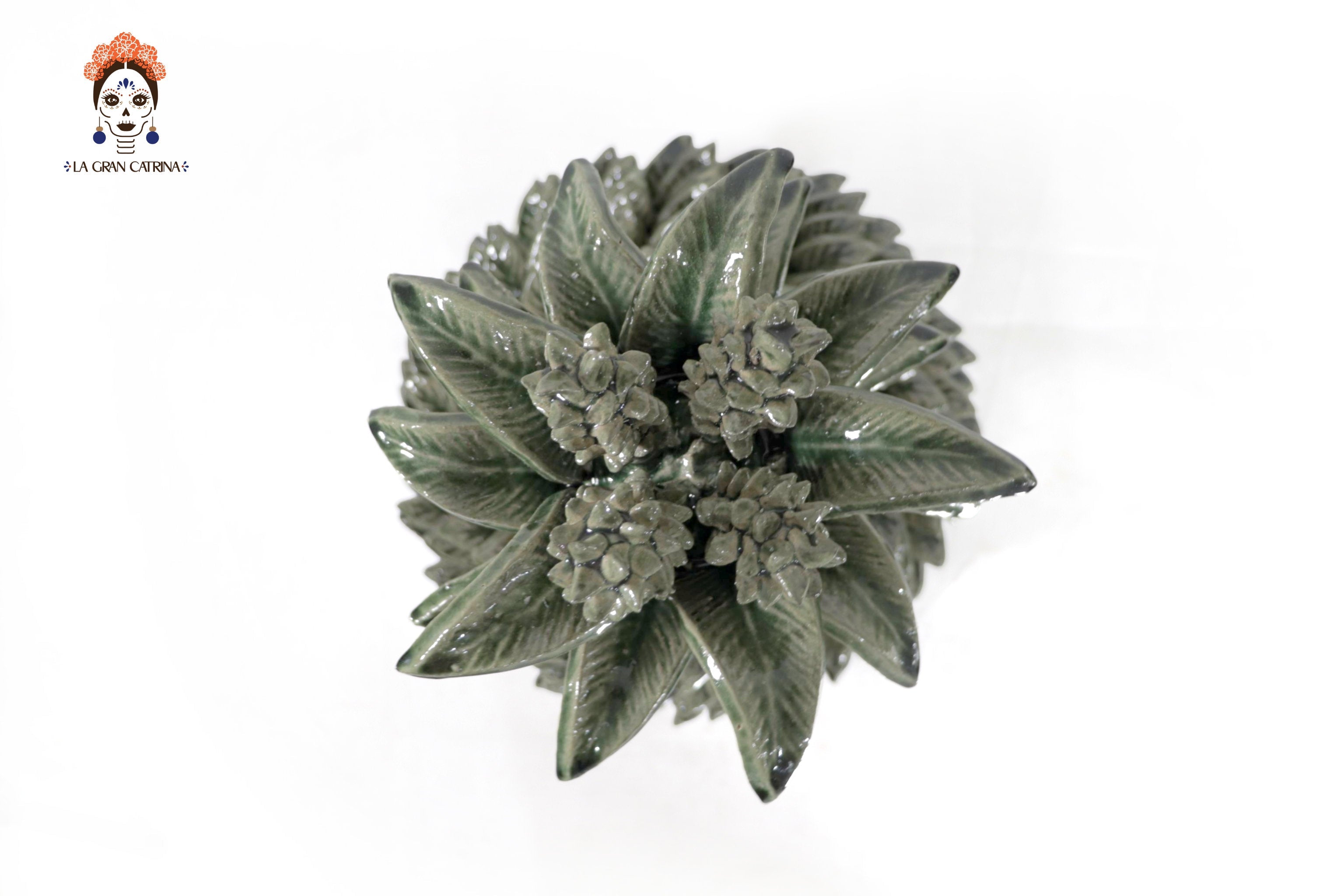 Green Pineapple with Leaves of curved lid - 20 in. Juan Gtz