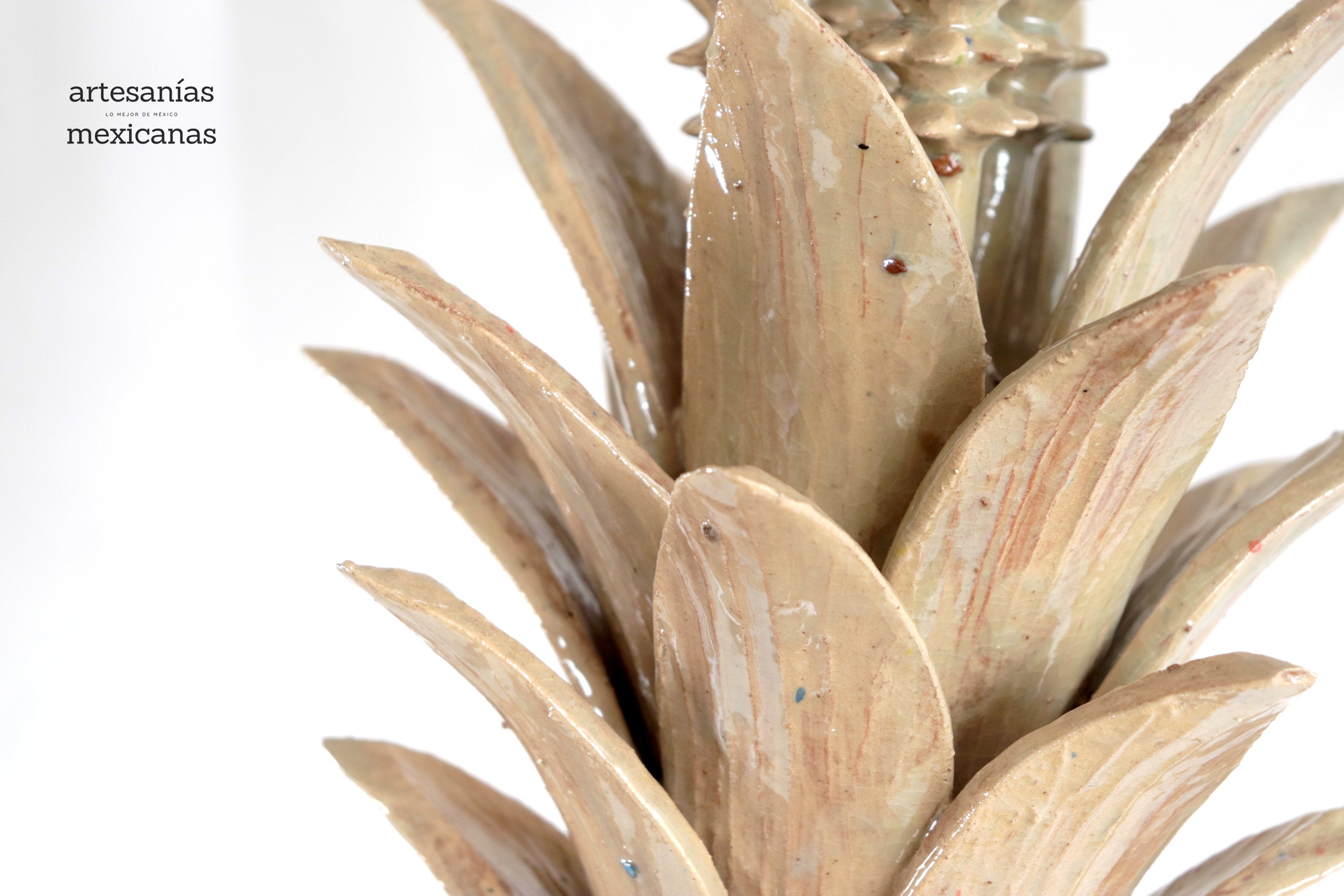 Barrel Cactus Beige Pineapple - 28 in. - Made to Order Chema SJG