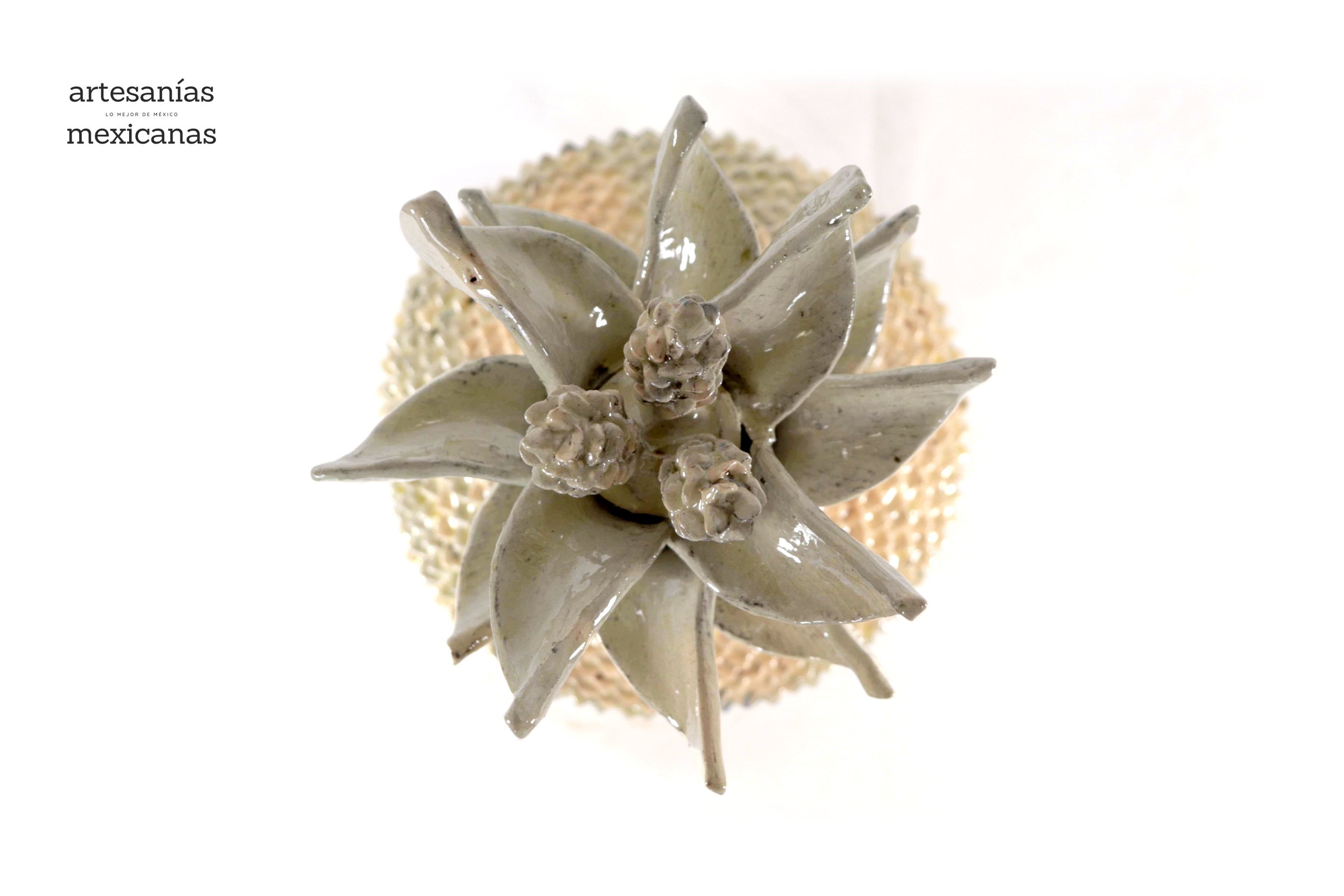 Pineapple of platillo with Spikes beige with Wavy Lid - 16 in. - Made to Order Juan Gtz