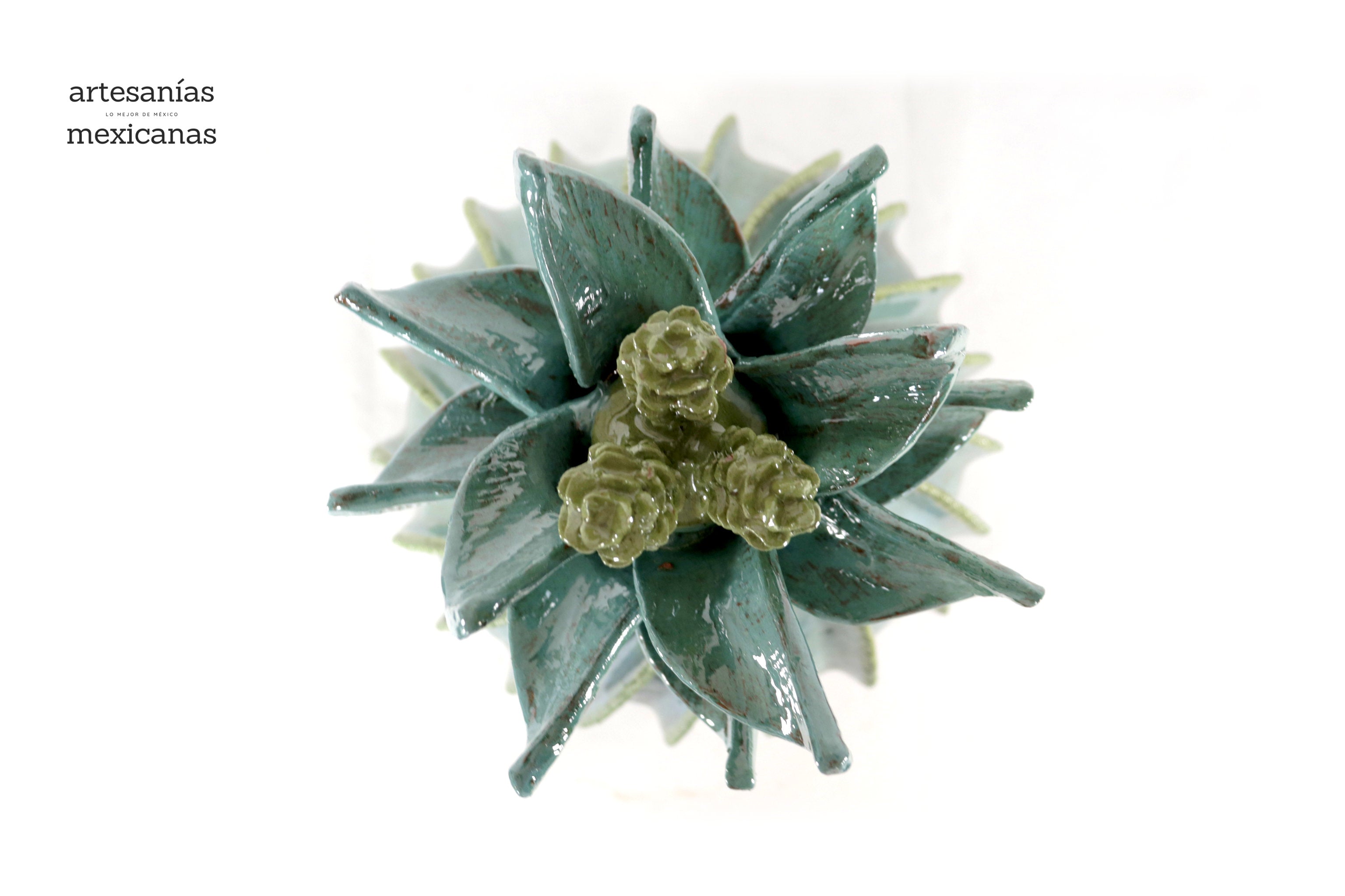 Barrel Cactus Pineapple turquoise with Olive - 18.8 in. - Made to Order Juan Gtz