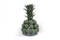 Michoacán Clay Pineapple - Green with Roses - 20.8 in. - Made to Order Celia SJG