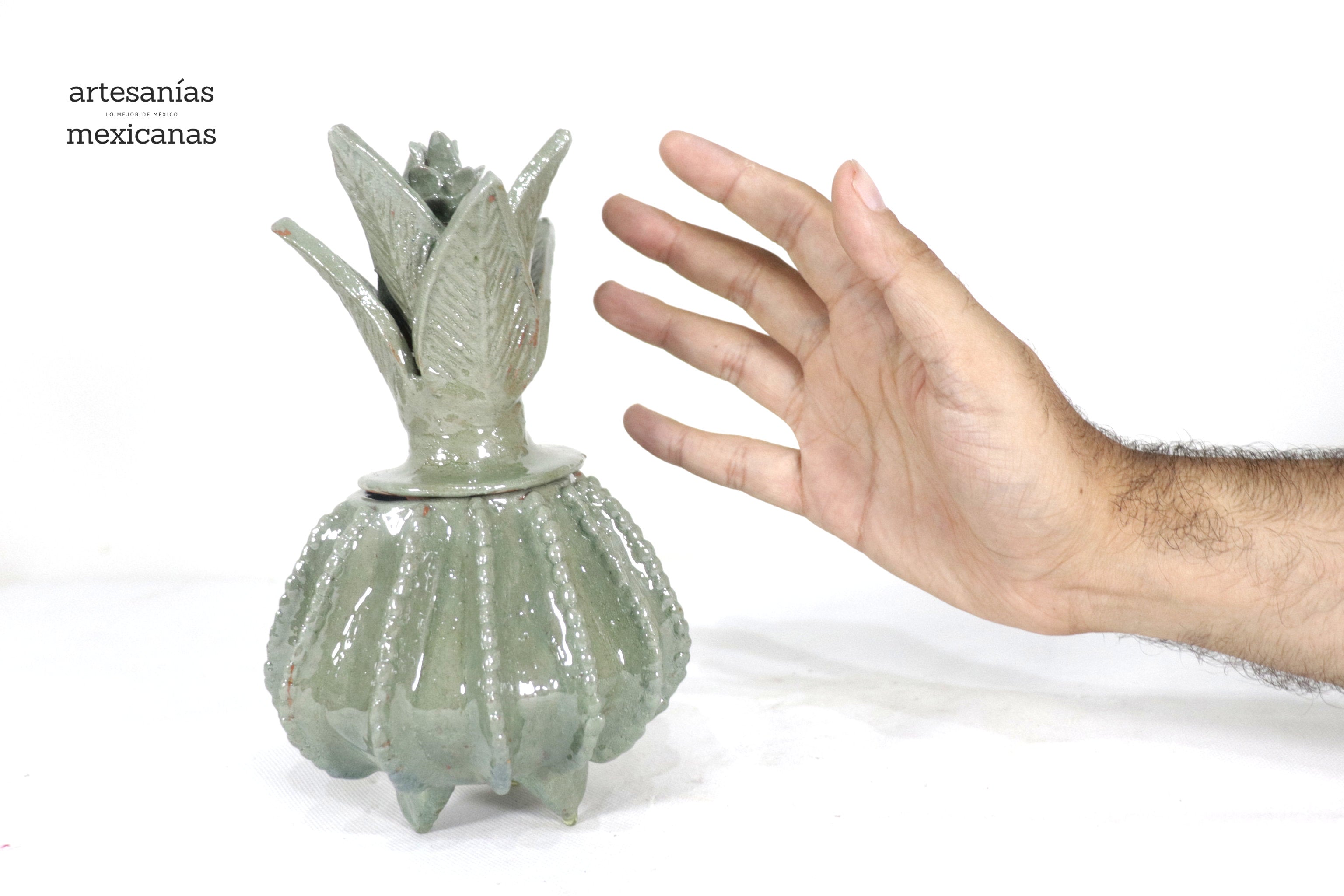Michoacán Clay Pineapple - Small Olive Green barrel cactus - 7.7 in. - Made to Order Juan Gtz