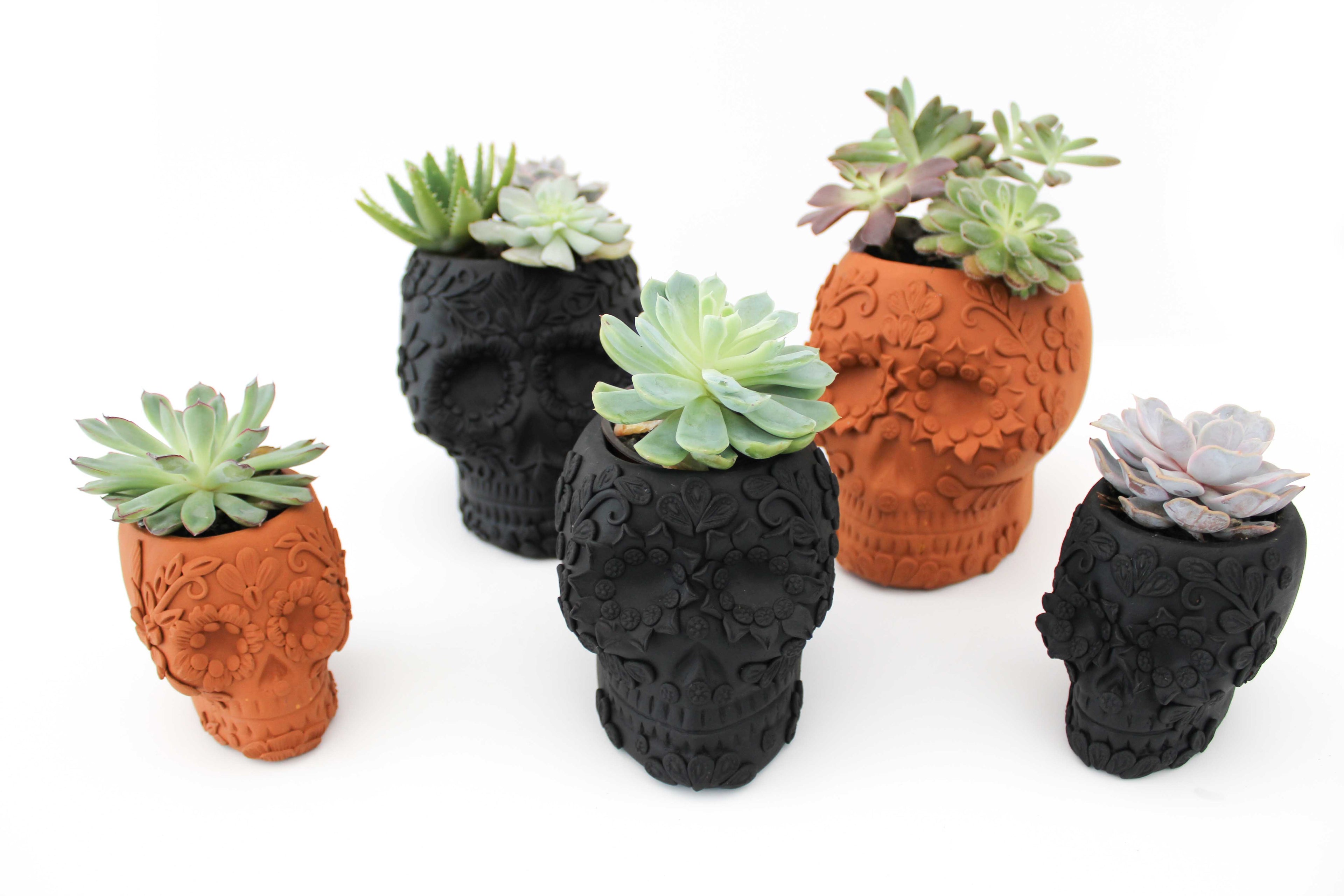 Planter Skull Black Clay with Flowers Relieve - 3.9 in. Brenda Capula