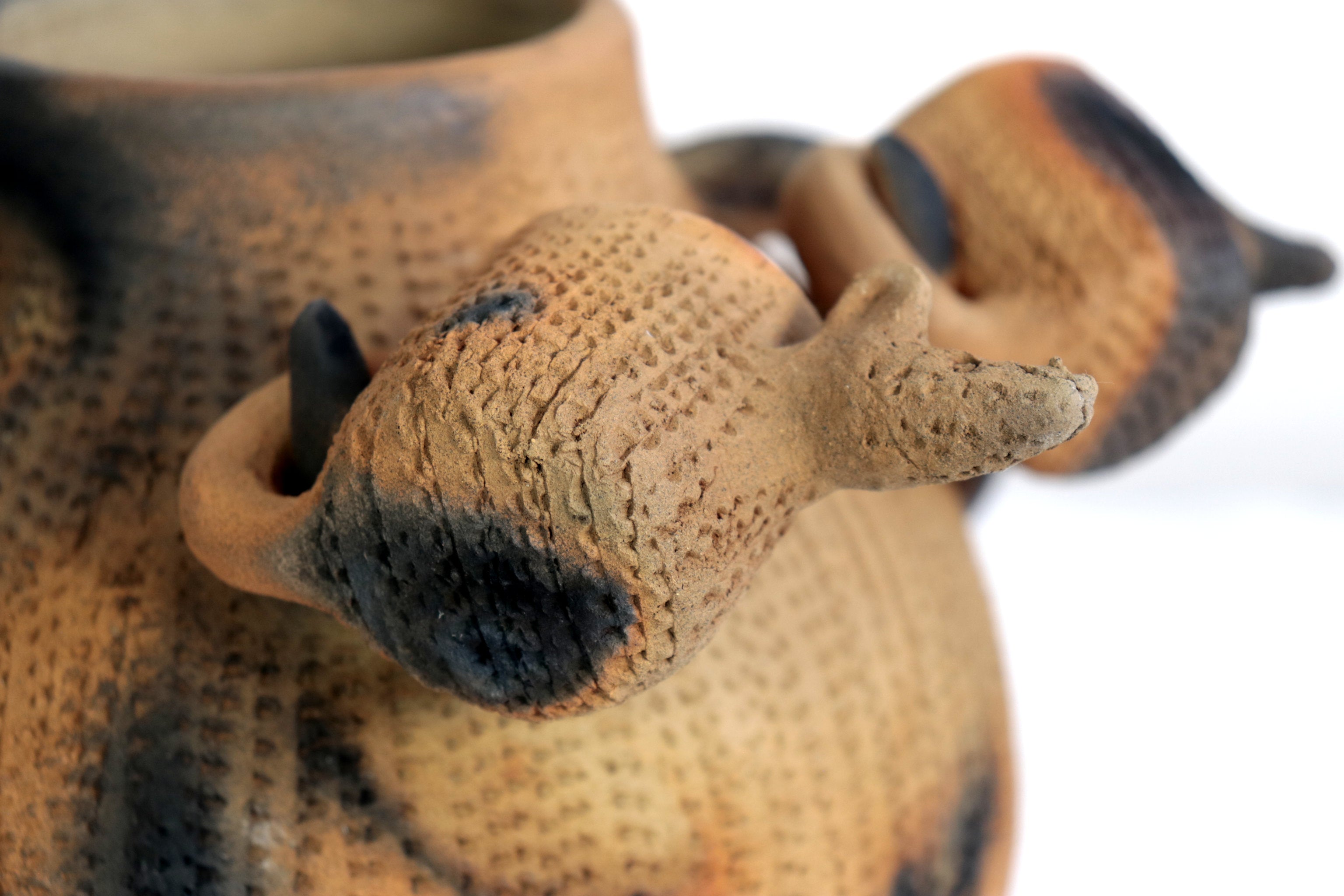 Anteater Punch Bowl of Natural Clay - 14.1 in. Zipiajo