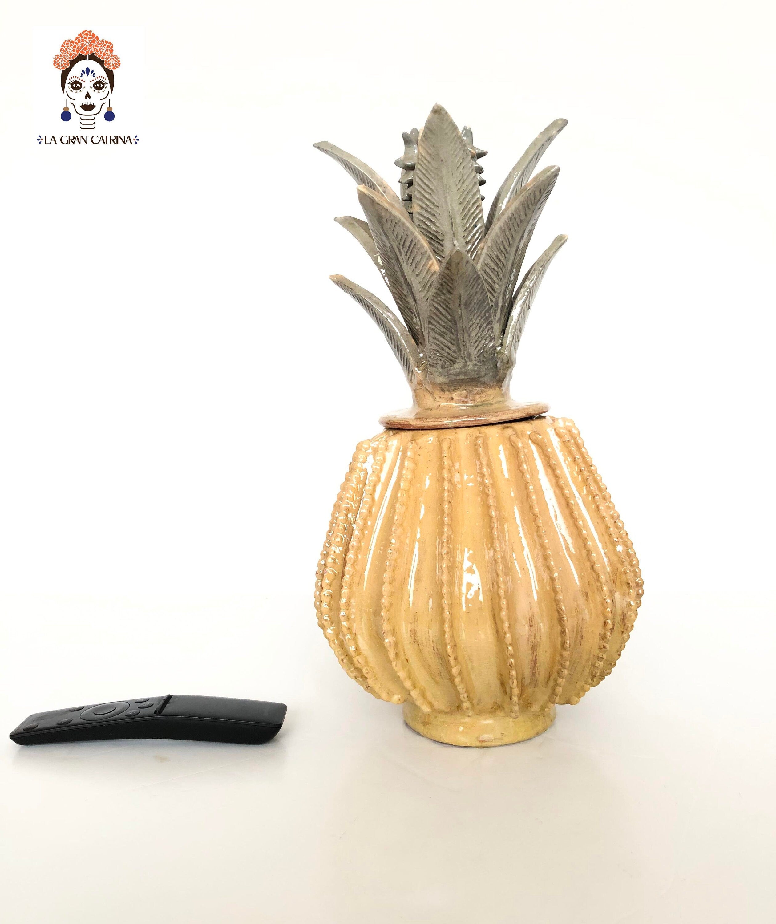 Michoacán Pineapple - Yellow Barrel Cactus - 15 in. Juan Gtz
