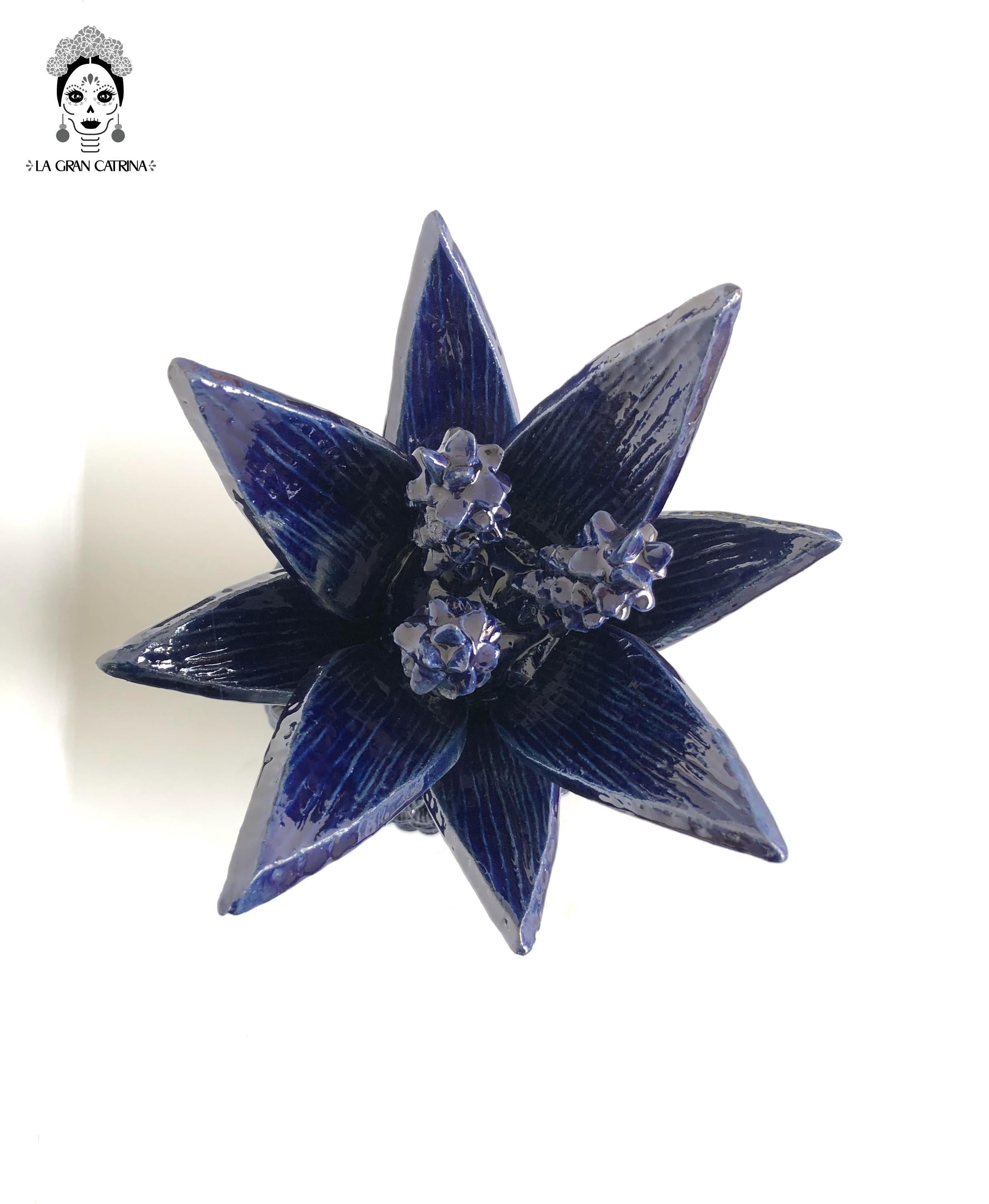 Michoacán Clay Pineapple - Papaya Blue - 22 in. Juan Gtz