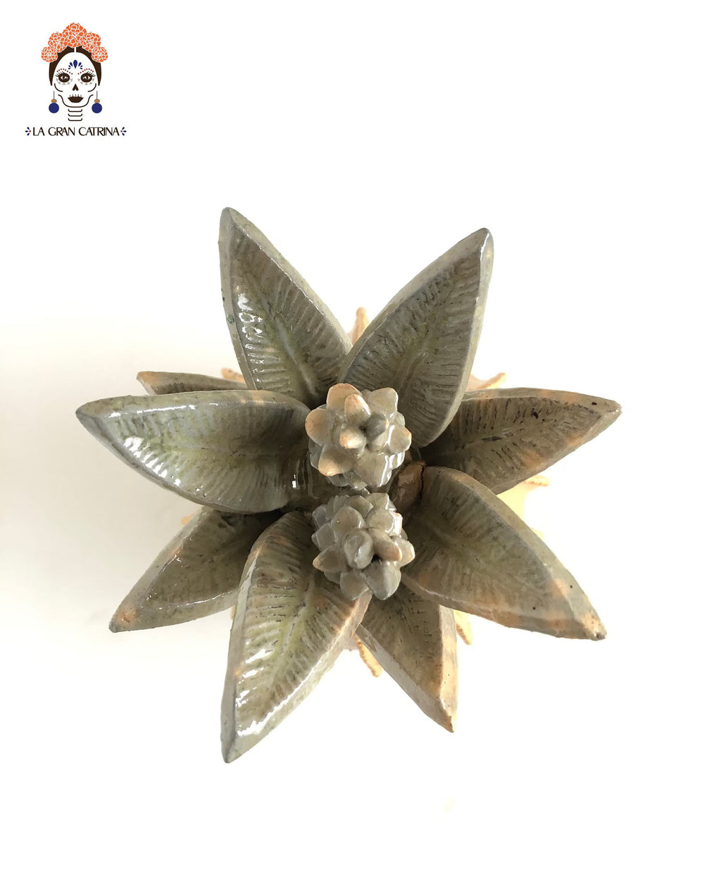 Michoacán Pineapple - Yellow Barrel Cactus - 15 in. Juan Gtz