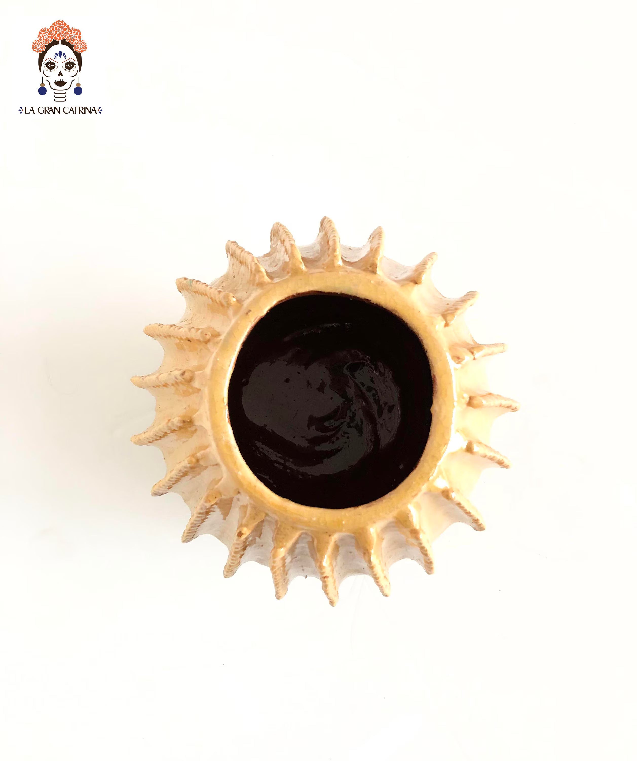 Michoacán Pineapple - Yellow Barrel Cactus - 15 in. Juan Gtz