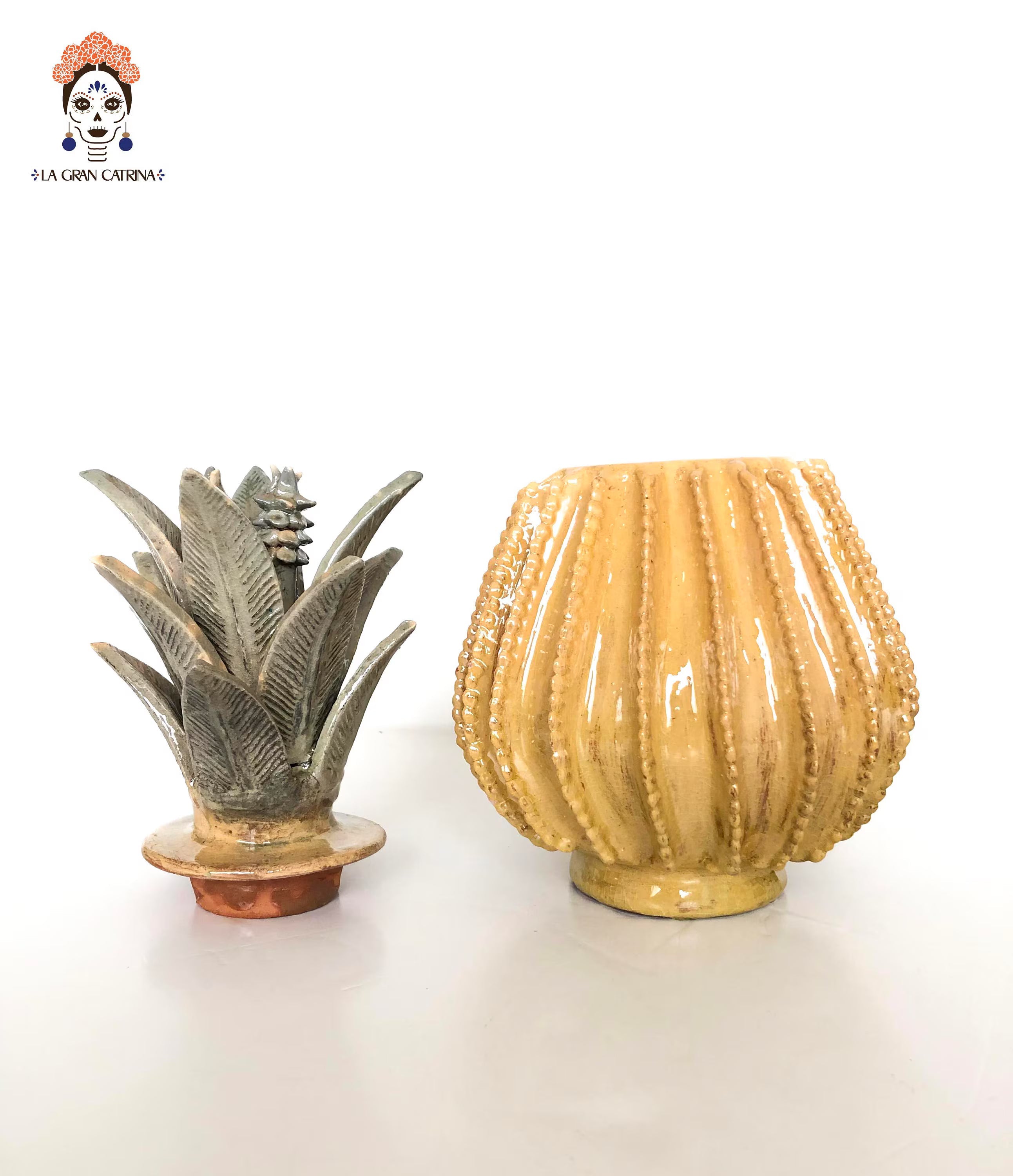 Michoacán Pineapple - Yellow Barrel Cactus - 15 in. Juan Gtz