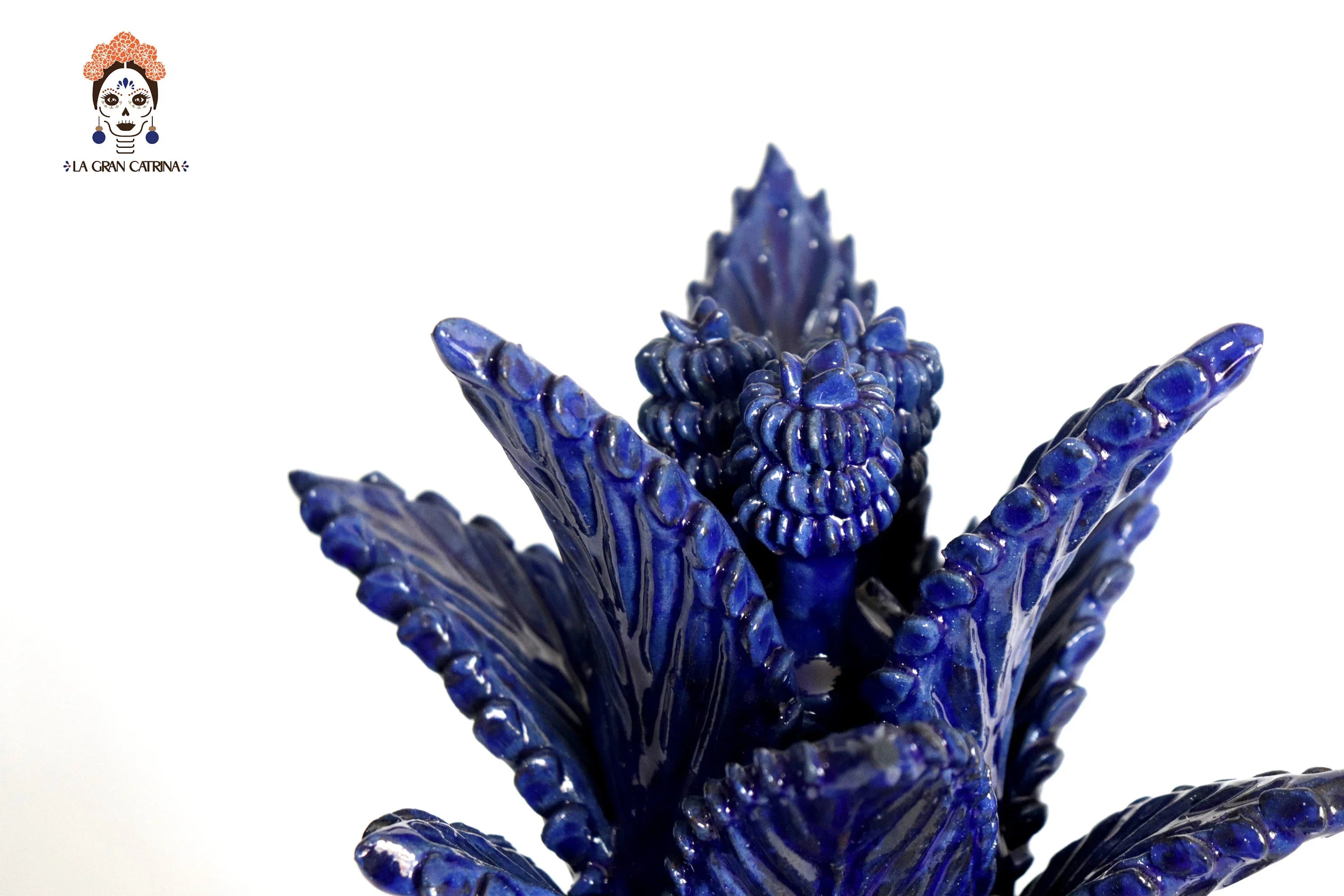Michoacán Pineapple of Contest blue - 20 in. - in. Production Juan Gtz
